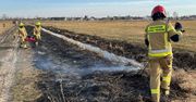 Uwaga na pożary traw. Wzrost liczby interwencji w powiecie łukowskim