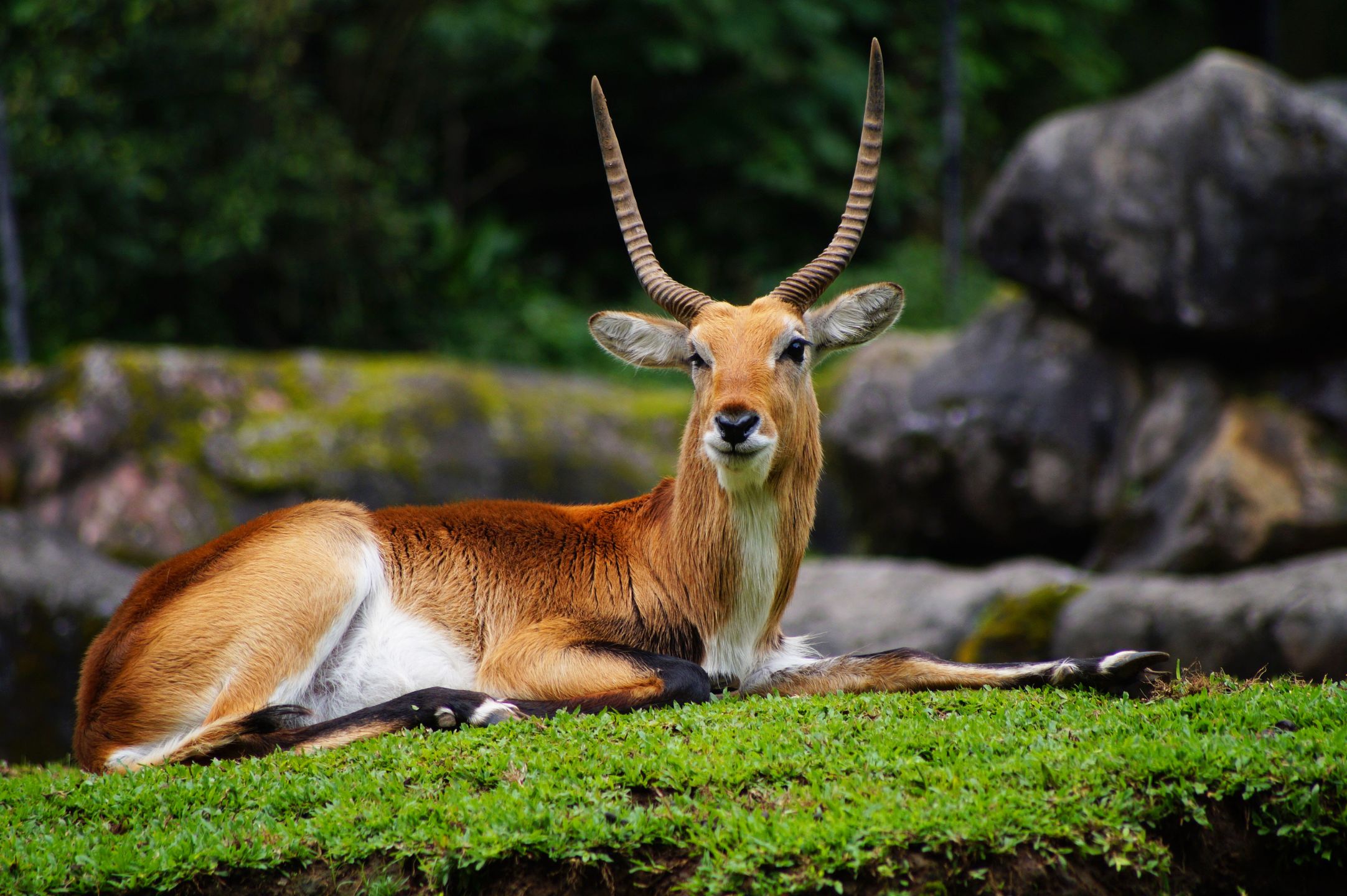 Zobacz najciekawsze z dotychczas zgłoszonych zdjęć w konkursie Sony World Photography Awards 2016 8