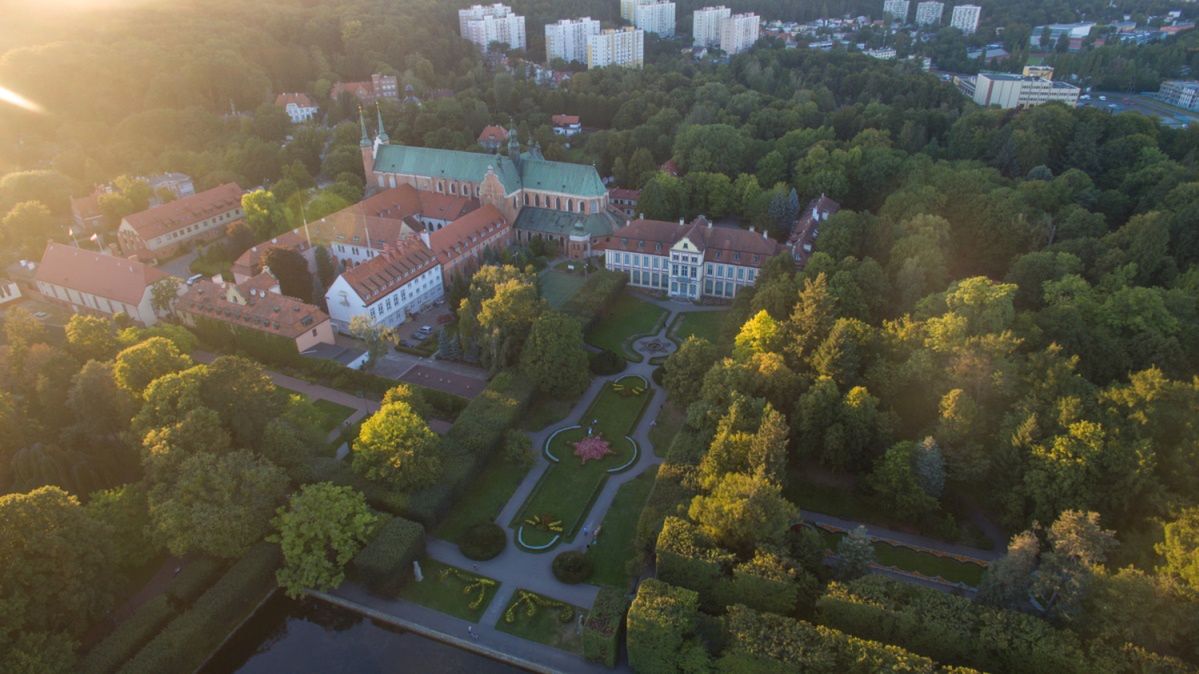 Dramatyczna sytuacja w Parku Oliwskim. "Stan zniszczeń i strat osiąga alarmujący poziom"