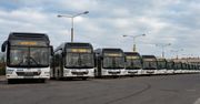 Toruń: Duża zmiana w mieście. Te autobusy wracają na swoją trasę
