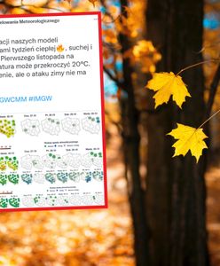 Pogoda. Szok cieplny na długi weekend. Nawet 22 stopnie