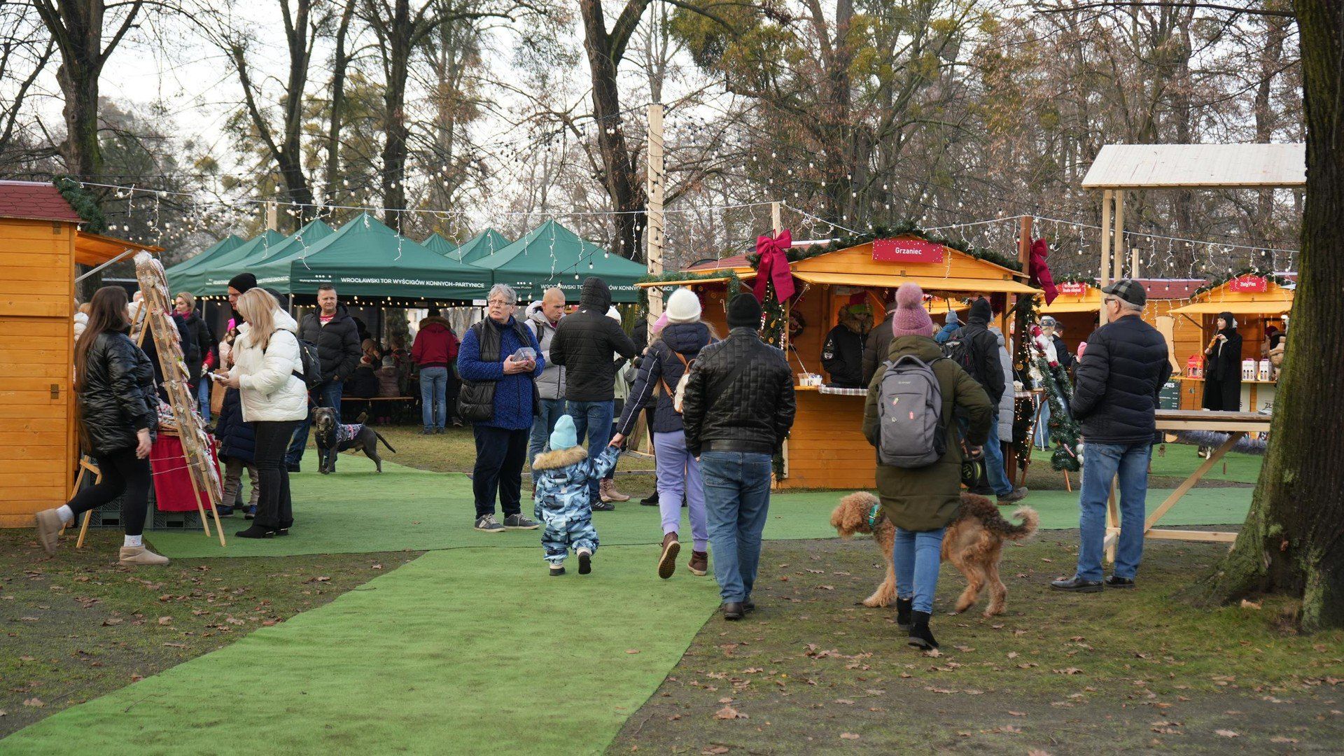 Jarmark Bożonarodzeniowy Kraina Koni otwarty!