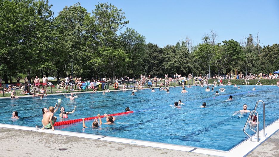 Tak wyglądał sezon 2024 na pływalni letniej w parku Kasprowicza