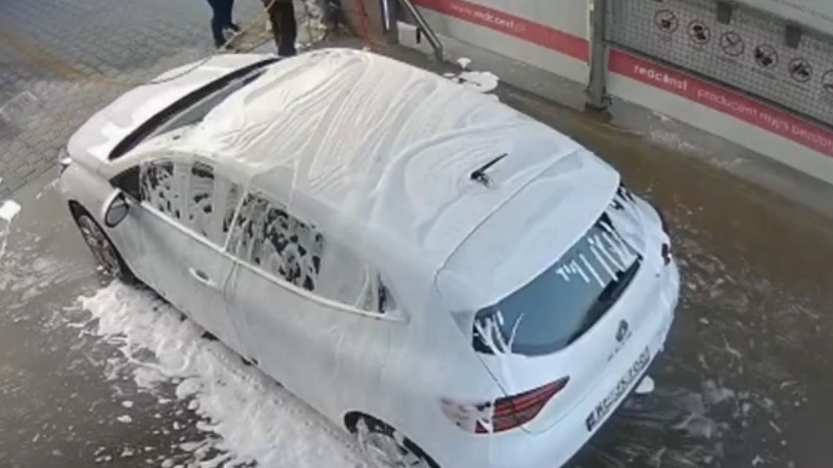 Para umyła psa przy użyciu tej samej chemii oraz lancy do mycia pojazdów