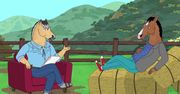 BoJack Horseman: Depresja i Hollywood za kulisami