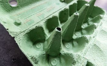 Gdzie wyrzucić opakowanie po jajkach? Wielu wciąż błądzi