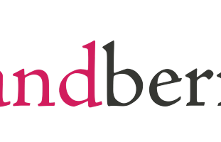 Brandberries PR Agency wypromuje Wood World