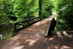 Kara za wejście do parku uchylona. Rencistka nie zapłaci 12 tys. zł mandatu