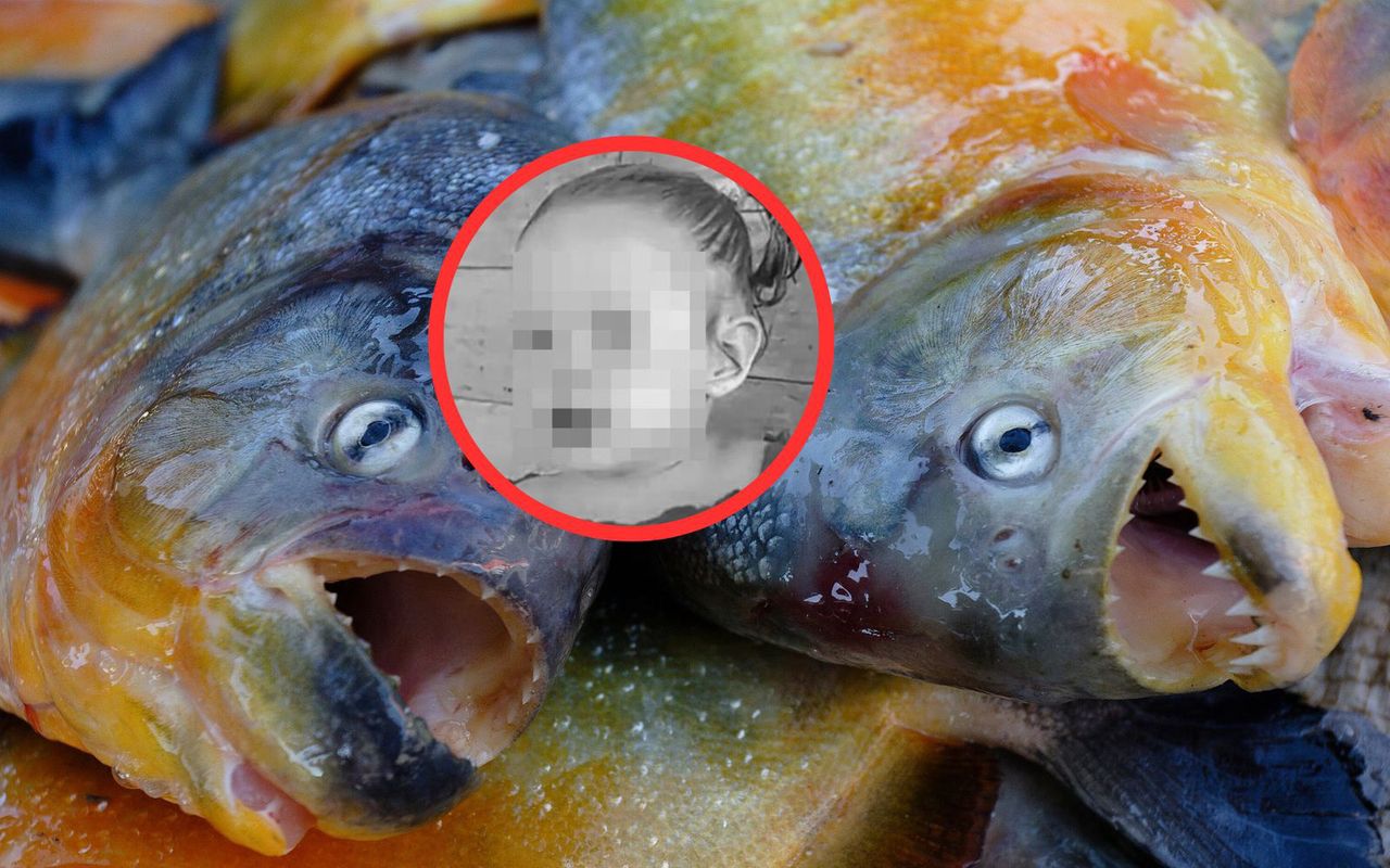 Atak piranii w Brazylii. Nie żyje dwulatka
