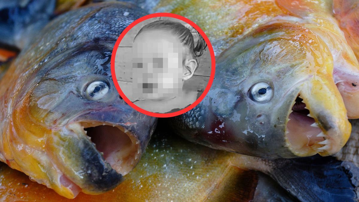 Śmierć dwulatki w Brazylii. Pogryzła ją pirania
