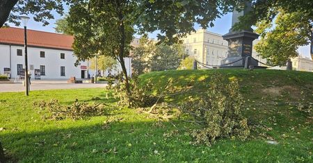 Ile czasu potrzebuje firma odpowiedzialna za utrzymanie Placu Litewskiego, by uprzątnąć gałęzie po ostatniej burzy?