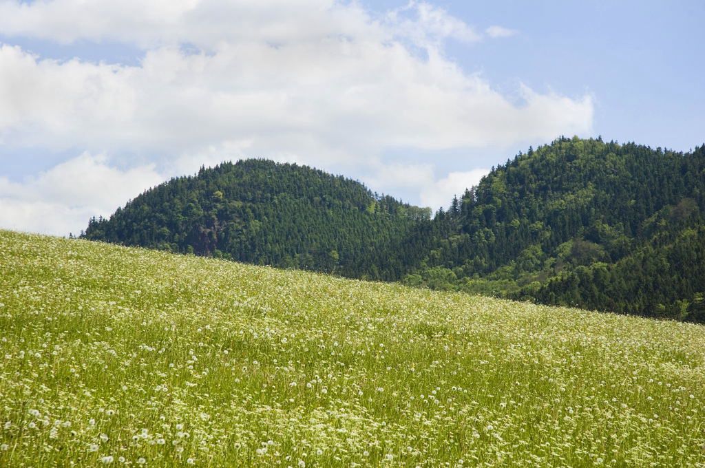 Spacer przez góry dostarcza wielu wspaniałych widoków