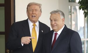 Wybory na Węgrzech. Trump się nie kryje. Orban zachwycony. "Dziękuję!"