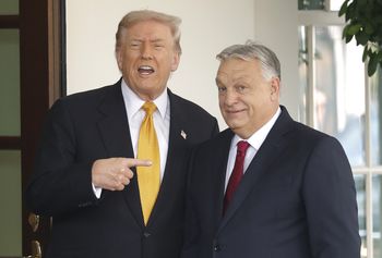 Wybory na Węgrzech. Trump się nie kryje. Orban zachwycony. "Dziękuję!"