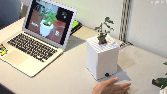 Roślina doniczkowa prawie jak zwierzątko domowe [wideo] 1