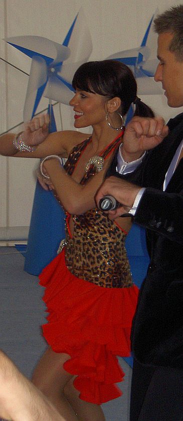 Obraz
