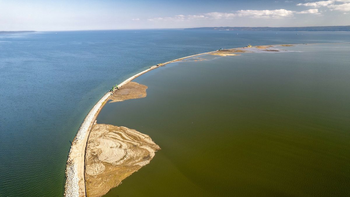 Wyspa Estyjska ma być ostoją dla ptaków 