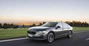 Škoda Superb najczęściej wybieranym modelem przez firmy i klientów indywidualnych. Lider segmentu D Liftback + Combi