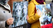 Toruń: Mieszkańcy piszą listy do Prezydenta w obronie zwierząt