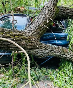 Drzewa łamały się jak zapałki. Akcja strażaków w Krakowie