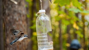 Marzysz o karmniku dla ptaków? Sprawdzone pomysły na domową stołówkę DIY z recyklingu