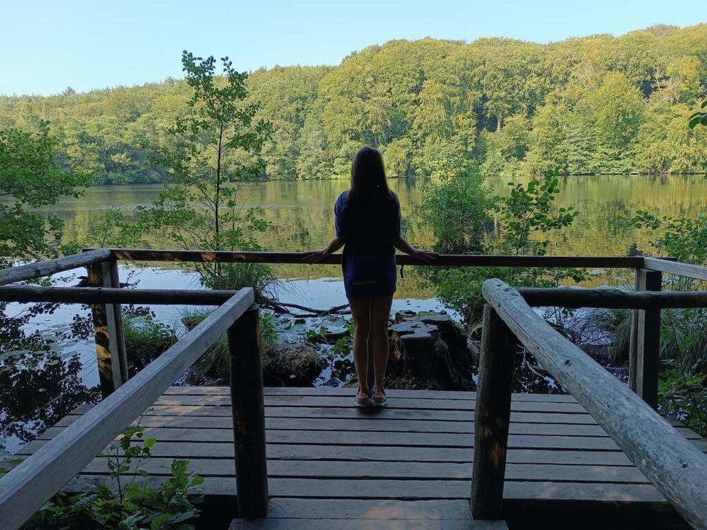  Park Jasmund - Rugia