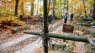 Sopot: Niemi świadkowie historii. Cmentarze, które skrywają tajemnice