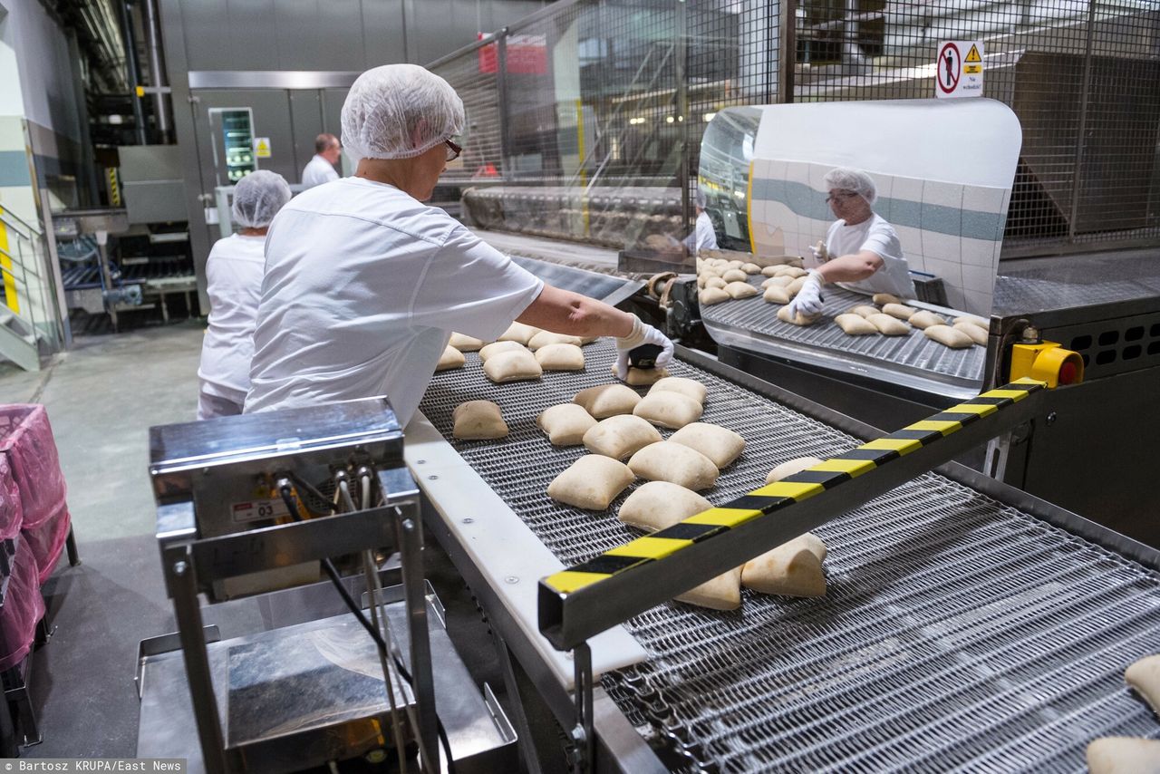 Tak Ukraińcy radzą sobie w Polsce. Nowe dane o zarobkach