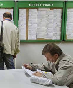 Polska firma zwolniła pracowników. Blisko 300 osób bez pracy