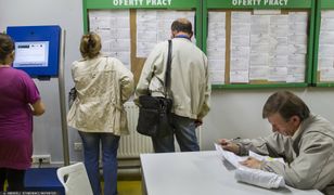 Polska firma zwolniła pracowników. Blisko 300 osób bez pracy