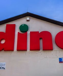 Fenomen Dino. Ekspert wyjaśnia, skąd sukces polskiej sieci