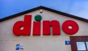 Fenomen Dino. Ekspert wyjaśnia, skąd sukces polskiej sieci