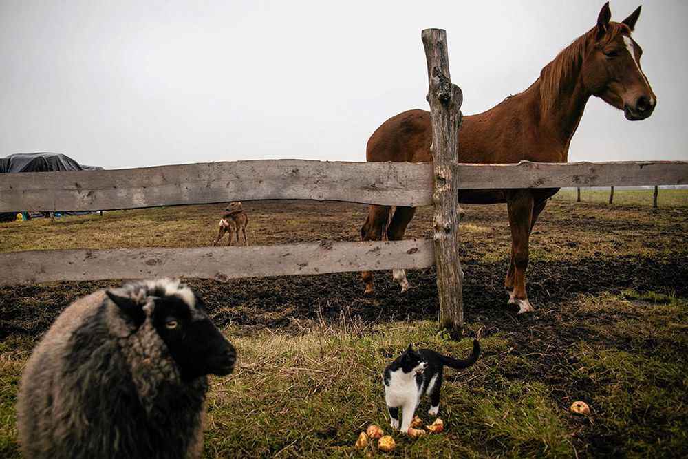 Tymon Markowski został uznany Fotoreporterem Roku 2016 35