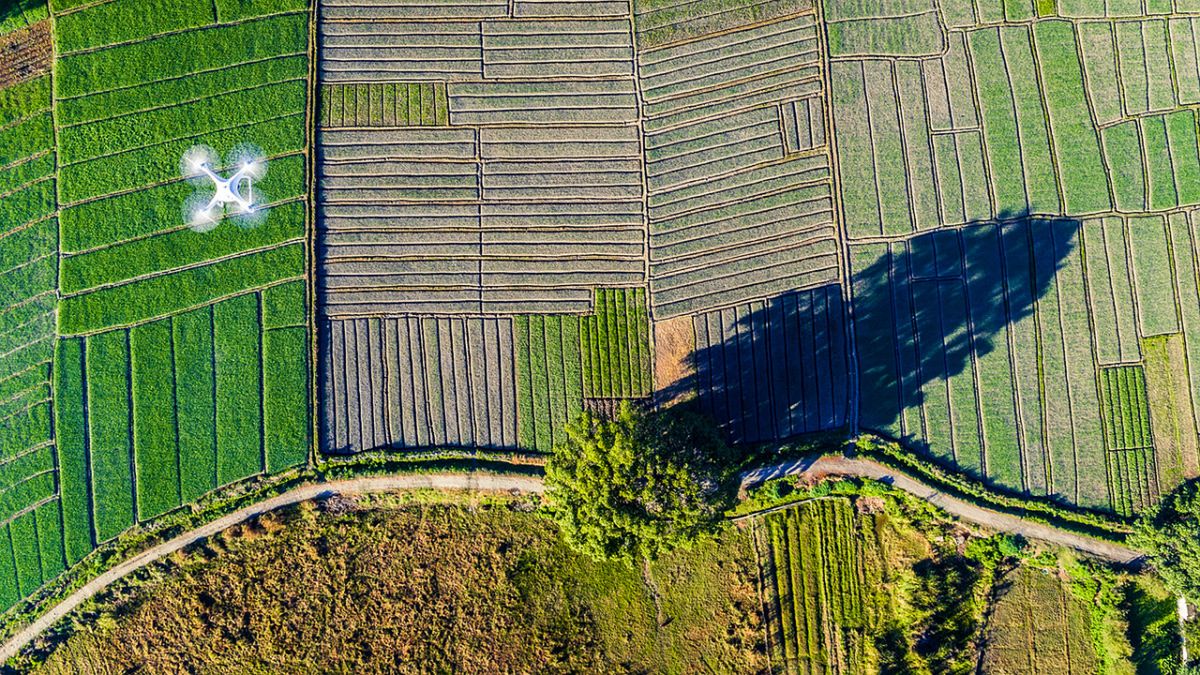 Najlepsze zdjęcia z dronów w konkursie SkyPixel Photo Contest 2016 12