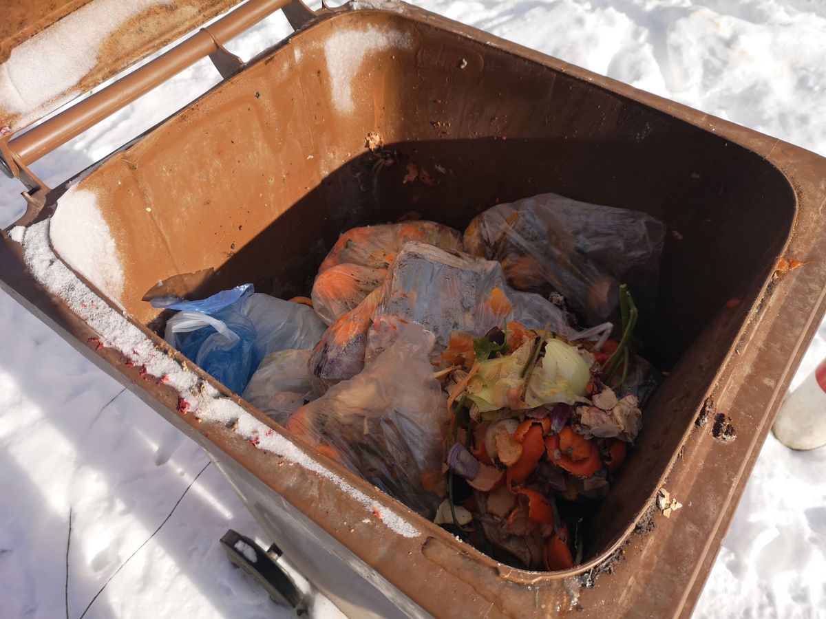 Jak segregować odpady? Na pewno nie wrzucając foliowe torebki do pojemników na bioodpady