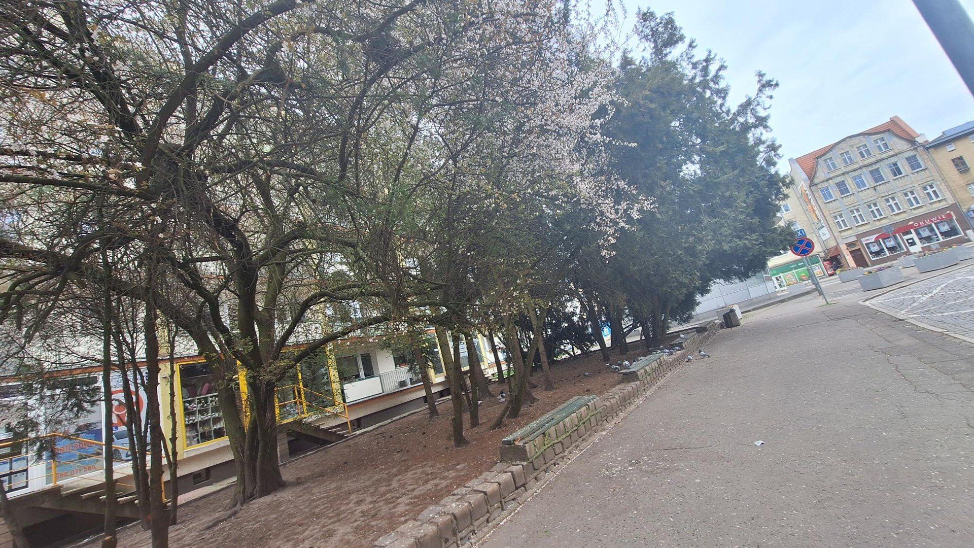 Skwer przy ul. Pocztowej niebawem będzie już parkiem kieszonkowym.