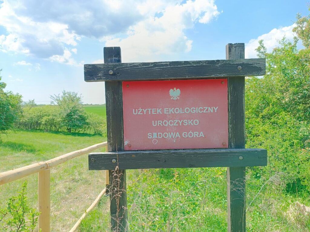 GEOsfera w Jaworznie