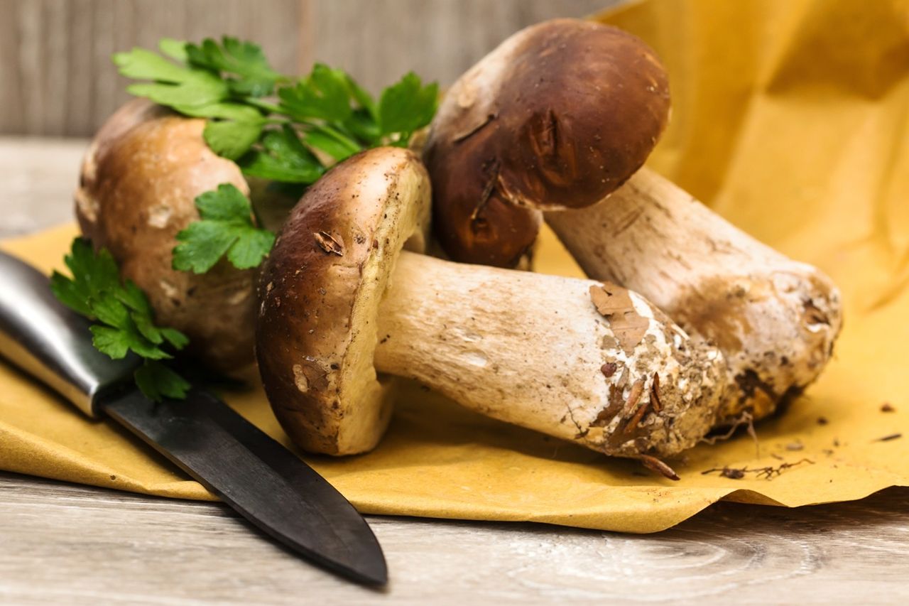 Mało kto ich szuka, a smakują obłędnie. Rosną pod konkretnymi drzewami