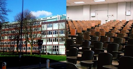 Profesor wrocławskiej uczelni prześladowała współpracowniczkę: "TY DZIELNICOWA KU**O"