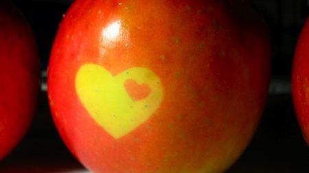 Apple oskarżony o dystrybucję pornografii w Chinach 1