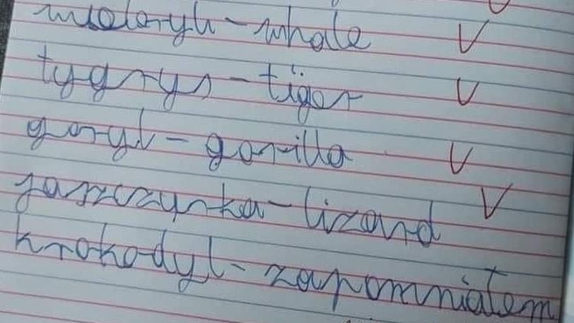 Źle rozwiazane zadanie. Zaskakująca reakcja nauczyciela