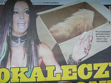 Obraz