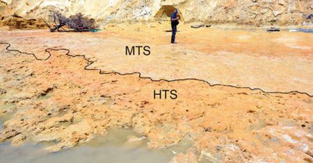 Ślady neandertalczyków. Zaskakujące odkrycie na hiszpańskiej plaży