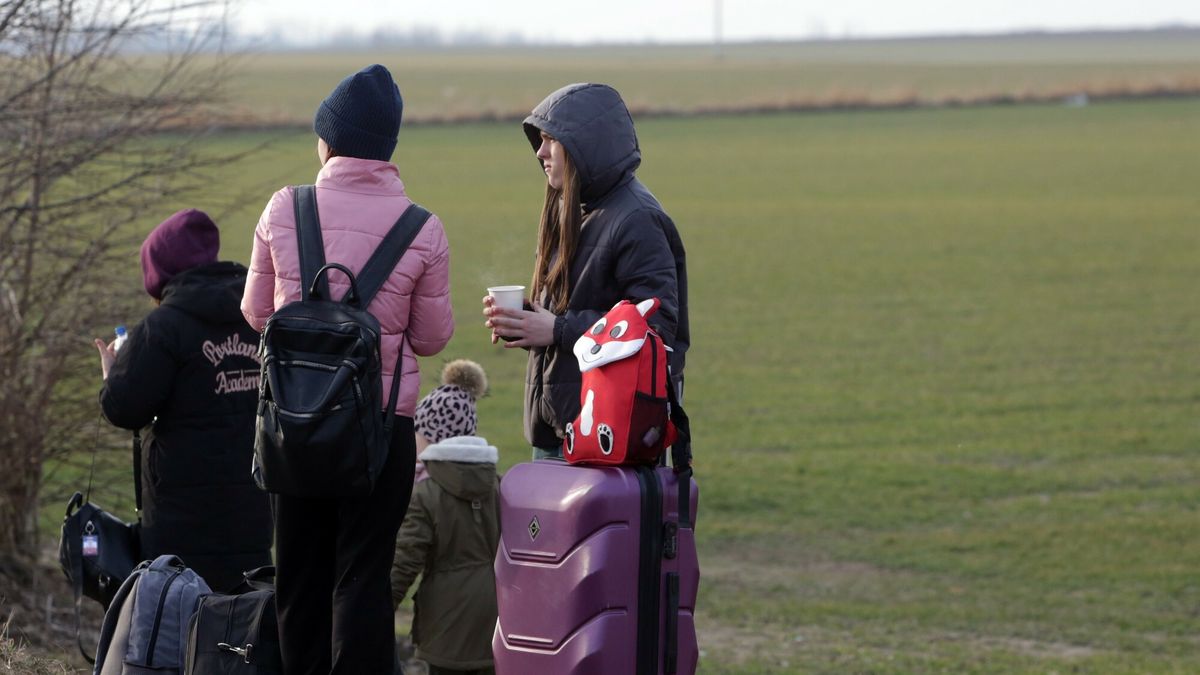Urzędy rozpoczynają przyjmowanie wniosków o nadanie obywatelom Ukrainy numeru PESEL 