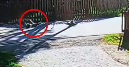 Spadł z hulajnogi i sunął po asfalcie. Nagranie mrozi krew w żyłach