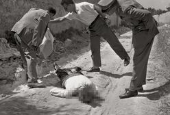 Miały leczyć szkorbut, a dały światu kolejną zarazę. Który owoc skusił sycylijskich mafiozów?