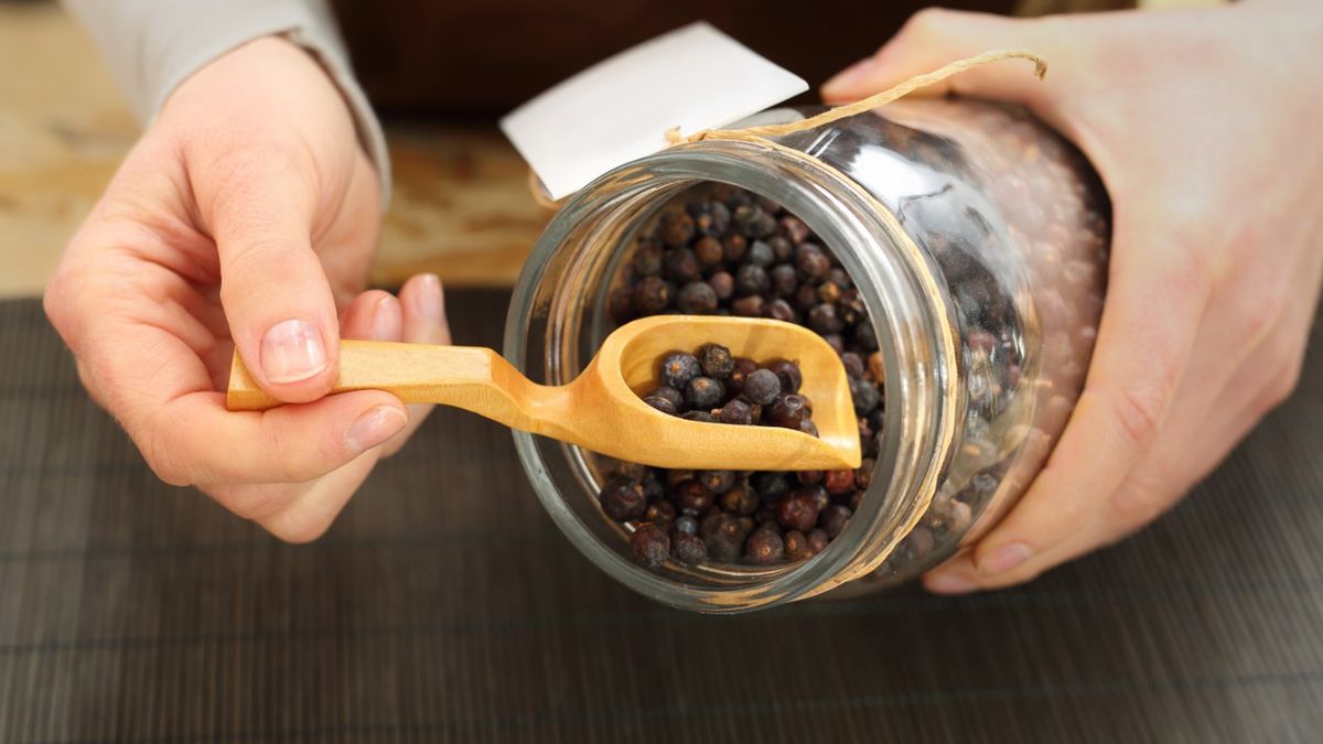 Owoce jałowca to nie tylko popularna, aromatyczna przyprawa, ale i cenny surowiec zielarski, który sprawdza się w leczeniu wielu dolegliwości.