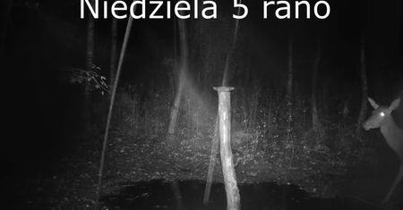Kilka godzin różnicy. Pokazali, co działo się 300 metrów od Ścinawy