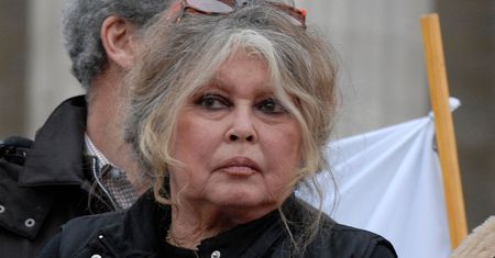 Francuska legenda znowu w szpitalu. Co się dzieje z Brigitte Bardot?
