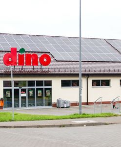 Nie tylko Warszawa. Dino ma zadebiutować w kolejnym mieście
